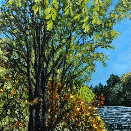 montreal, quebec, original artwork, nature, landscape art