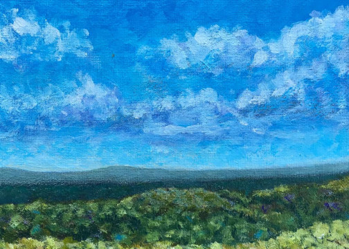 Observation Trail, shawnee national forest, original artwork, landscape art, nature