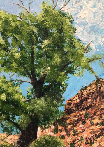 Zion National Park, utah, original artwork, landscape art, nature