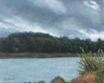 paducah, kentucky, ohio river bank, original artwork, landscape art, nature